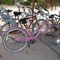 Amy_s Pink Bike.JPG